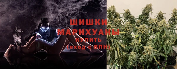 ГАЛЛЮЦИНОГЕННЫЕ ГРИБЫ Балахна