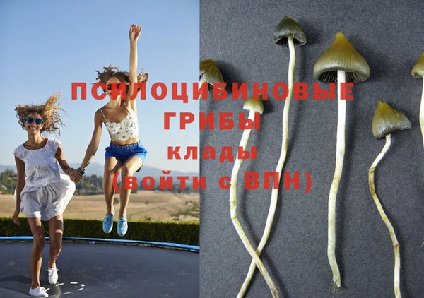 apvp Балабаново
