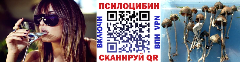хочу наркоту  Верхняя Тура  Псилоцибиновые грибы ЛСД 